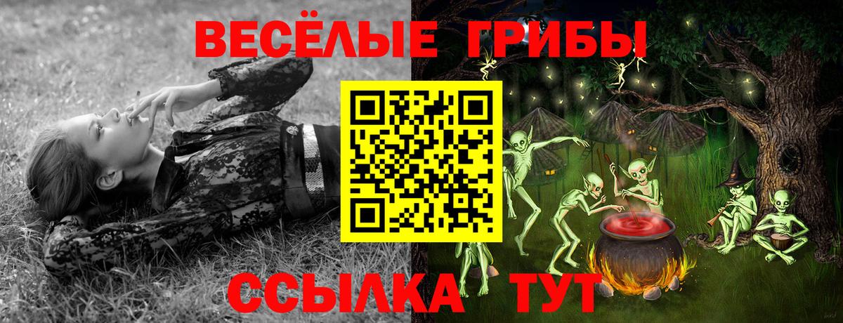 Псилоцибиновые грибы прущие грибы  Вход с VPN  Клин 