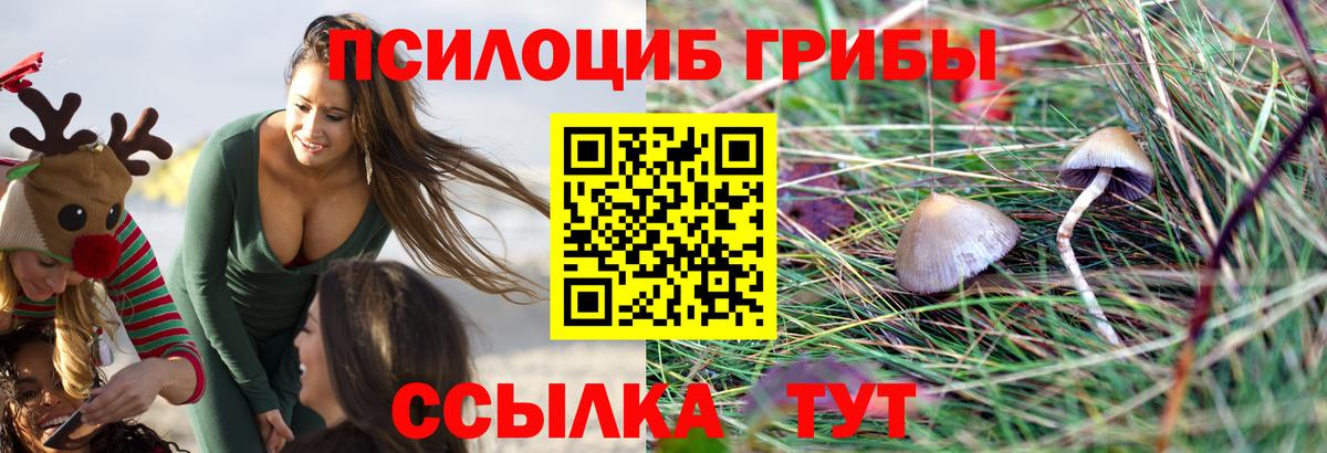 Галлюциногенные грибы Magic Shrooms Клин